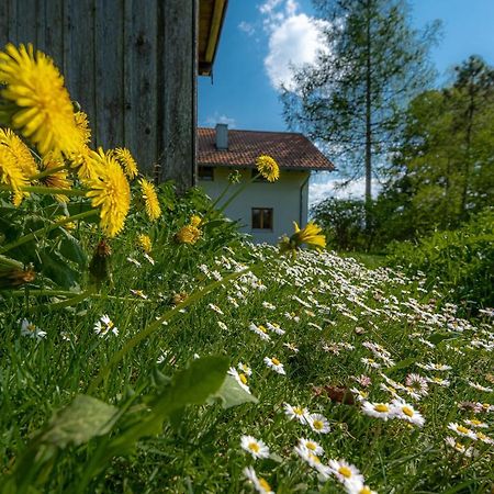 Ferienhaus Schlierachtal Miesbach Luaran gambar